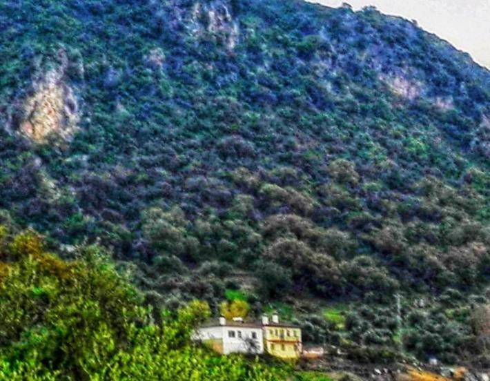 Alto De Torrecillas Эль-Боске Экстерьер фото
